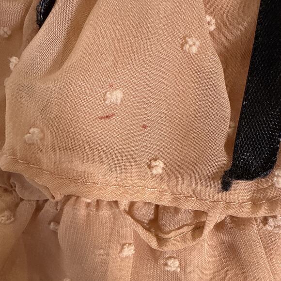Blush Sheer Swiss Dot Ruffle Chiffon Blouse Puff Sleeve Mock Neck Victorian Sm - Picture 3 of 7